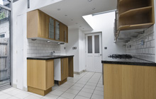 Brockford Street kitchen extension leads